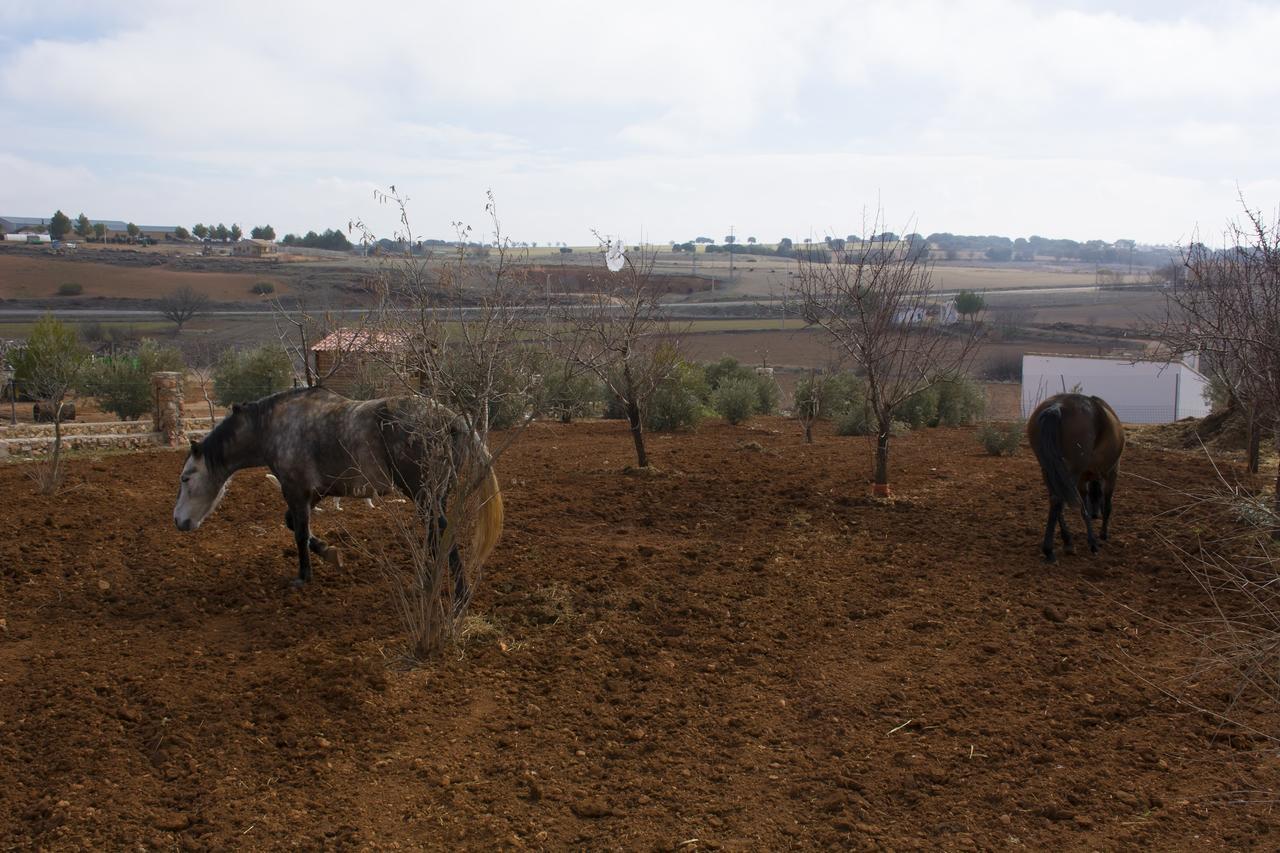 El Retiro De Cervantes Ossa de Montiel Exteriör bild